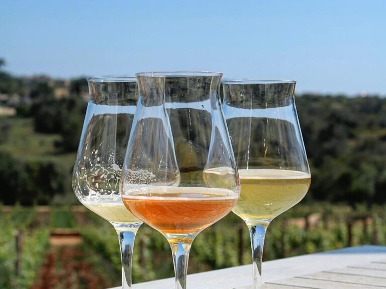 wine tours from lagos portugal